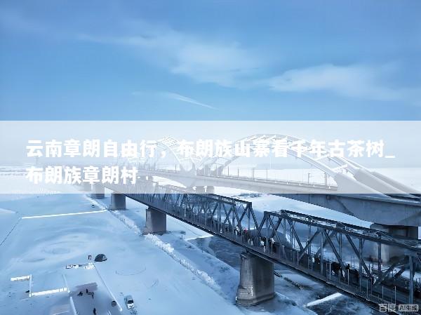 云南章朗自由行，布朗族山寨看千年古茶树_布朗族章朗村