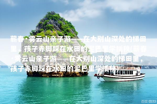 蕲春·雾云山亲子游——在大别山深处的梯田里，孩子赤脚踩在水田的泥巴里学插秧(蕲春·雾云山亲子游——在大别山深处的梯田里，孩子赤脚踩在水田的泥巴里学插秧)