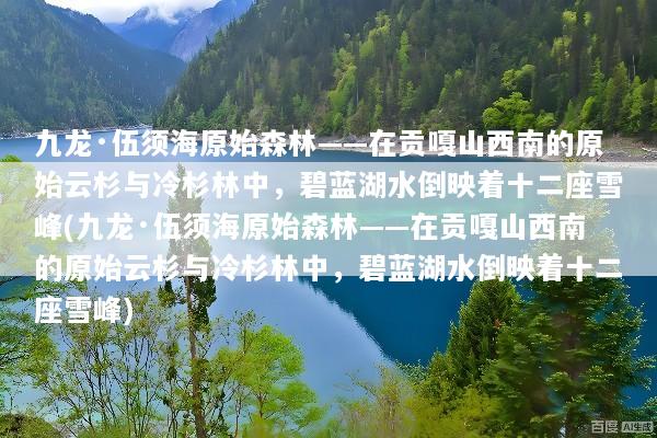 九龙·伍须海原始森林——在贡嘎山西南的原始云杉与冷杉林中，碧蓝湖水倒映着十二座雪峰(九龙·伍须海原始森林——在贡嘎山西南的原始云杉与冷杉林中，碧蓝湖水倒映着十二座雪峰)