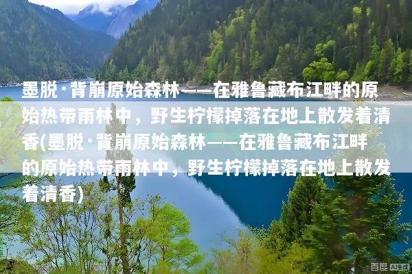 墨脱·背崩原始森林——在雅鲁藏布江畔的原始热带雨林中，野生柠檬掉落在地上散发着清香(墨脱·背崩原始森林——在雅鲁藏布江畔的原始热带雨林中，野生柠檬掉落在地上散发着清香)