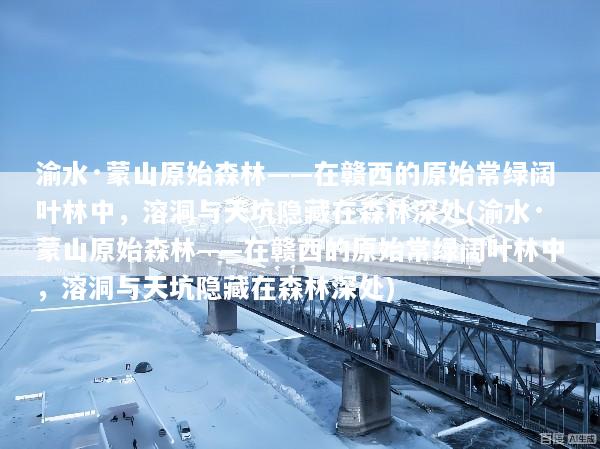 渝水·蒙山原始森林——在赣西的原始常绿阔叶林中，溶洞与天坑隐藏在森林深处(渝水·蒙山原始森林——在赣西的原始常绿阔叶林中，溶洞与天坑隐藏在森林深处)