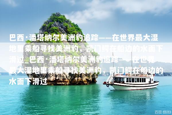 巴西·潘塔纳尔美洲豹追踪——在世界最大湿地里乘船寻找美洲豹，凯门鳄在船边的水面下滑过_巴西·潘塔纳尔美洲豹追踪——在世界最大湿地里乘船寻找美洲豹，凯门鳄在船边的水面下滑过