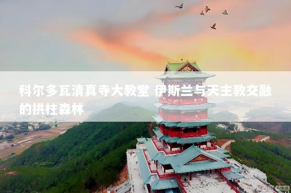 科尔多瓦清真寺大教堂 伊斯兰与天主教交融的拱柱森林