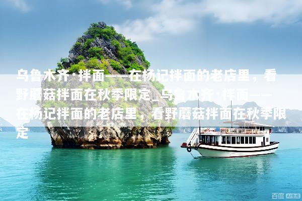 乌鲁木齐·拌面——在杨记拌面的老店里，看野蘑菇拌面在秋季限定_乌鲁木齐·拌面——在杨记拌面的老店里，看野蘑菇拌面在秋季限定