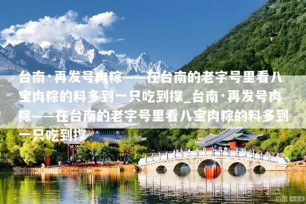 台南·再发号肉粽——在台南的老字号里看八宝肉粽的料多到一只吃到撑_台南·再发号肉粽——在台南的老字号里看八宝肉粽的料多到一只吃到撑