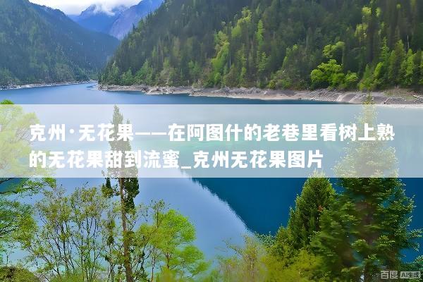克州·无花果——在阿图什的老巷里看树上熟的无花果甜到流蜜_克州无花果图片