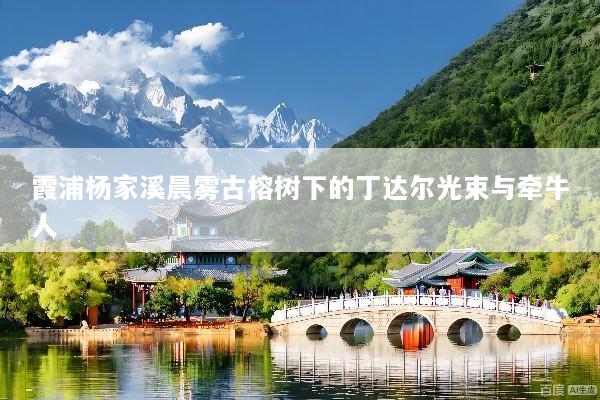 霞浦杨家溪晨雾古榕树下的丁达尔光束与牵牛人